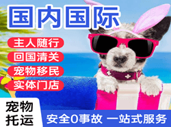 塔什库尔干红其拉甫航空运输国际宠物托运 【国